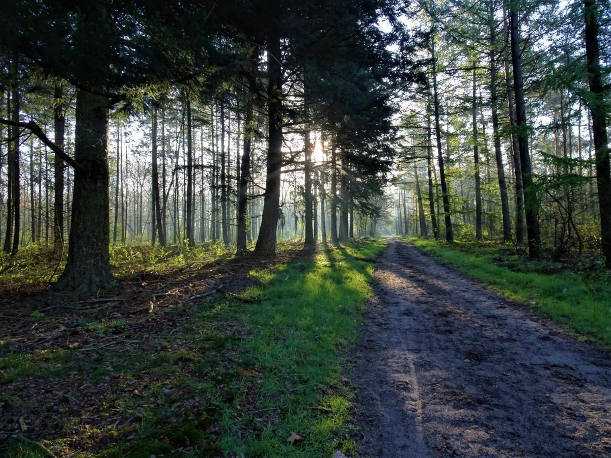Veluwe Park Reewold Chalet Talisman 푸텐 외부 사진